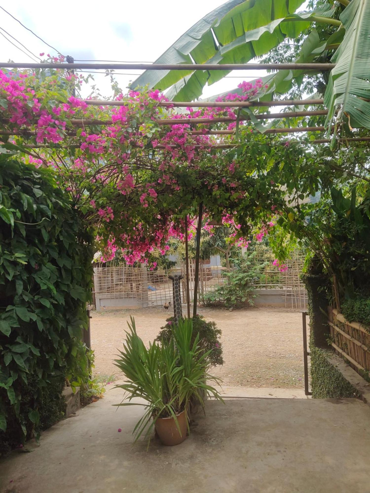 Meexok Guesthouse Nongkhiaw Buitenkant foto